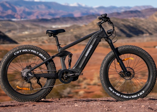 Himiway Cobra Pro 1000w Electric Bike