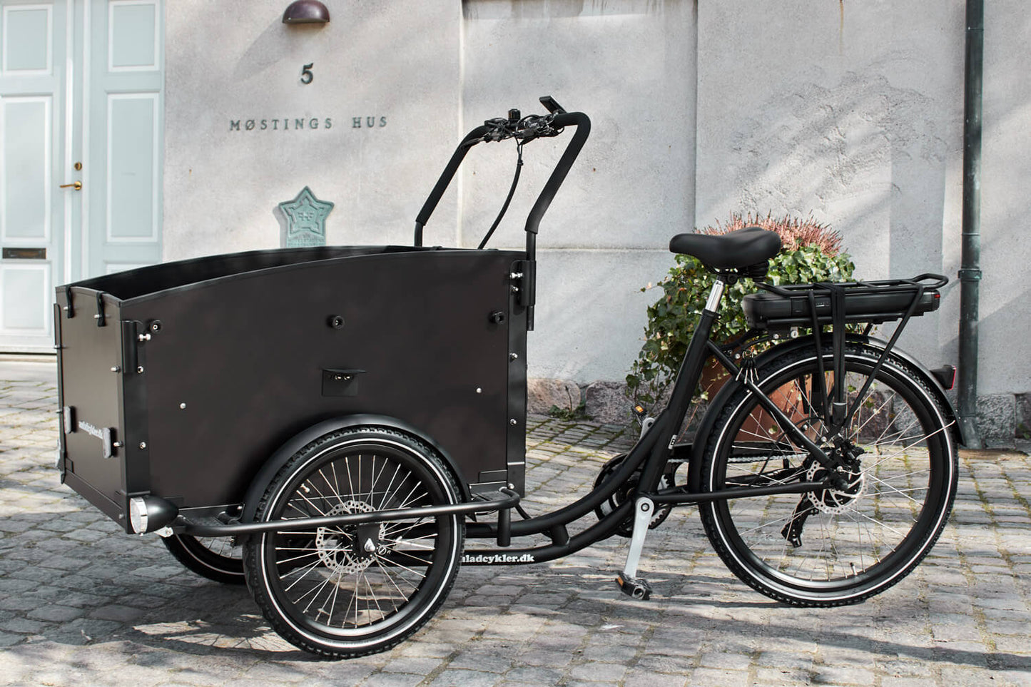 AmCargoBikes Ultimate Curve Electric Bike