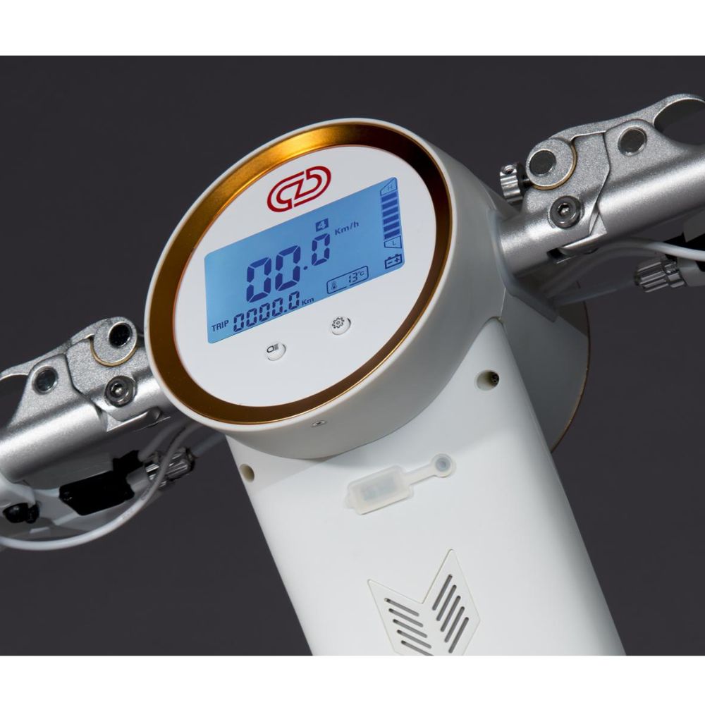 Cruzaa Pro Electric Scooter