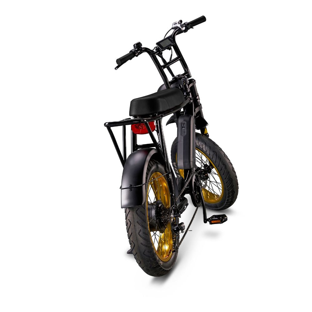 Fatboy bikes 2024