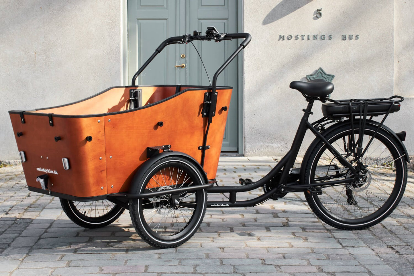 AmCargoBikes Ultimate Harmony Electric Bike