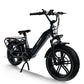 Himiway Big Dog Electric Bike