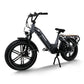 Himiway Big Dog Electric Bike