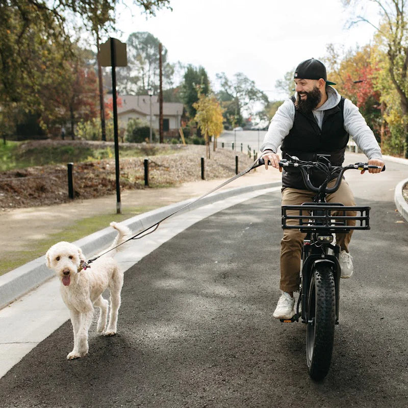 Himiway Big Dog Electric Bike