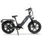 Himiway Big Dog Electric Bike