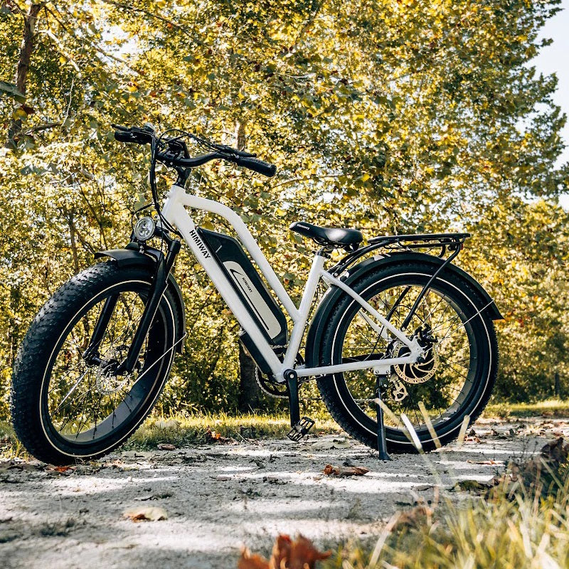 Himiway Cruiser Electric Bike - Step Through – Elevated Cycles